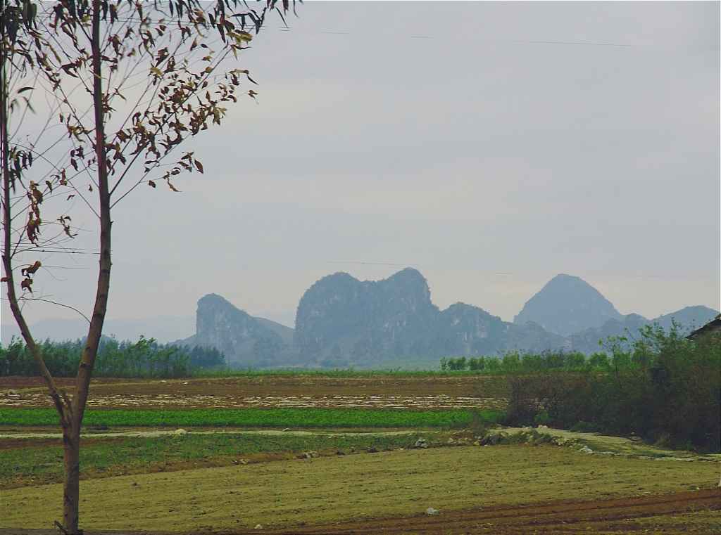 DSCF4936.jpg