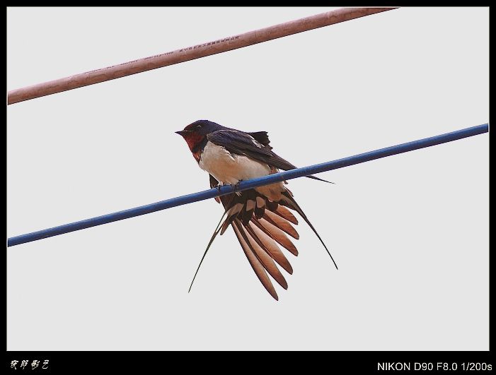 DSC_0027_conew1.jpg