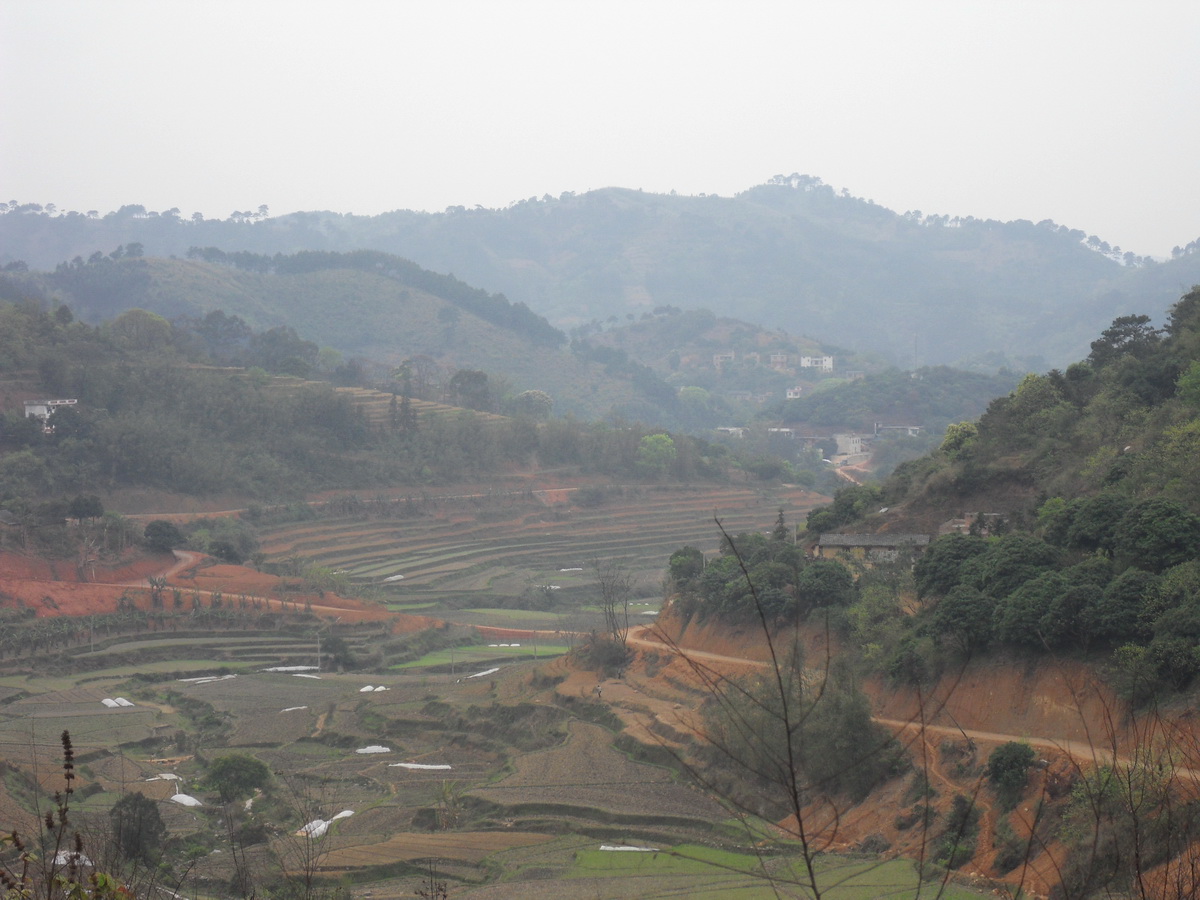 SDC10279.jpg