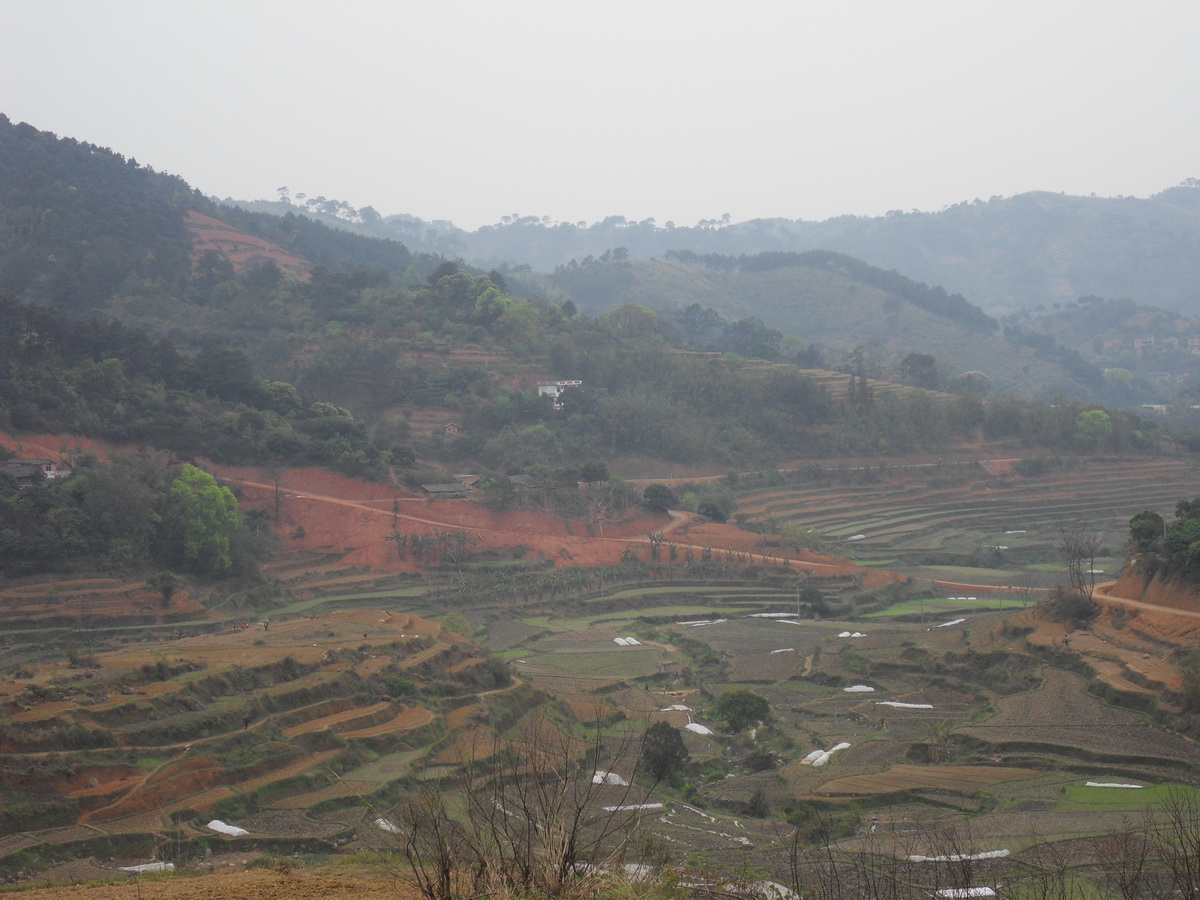 SDC10284.jpg