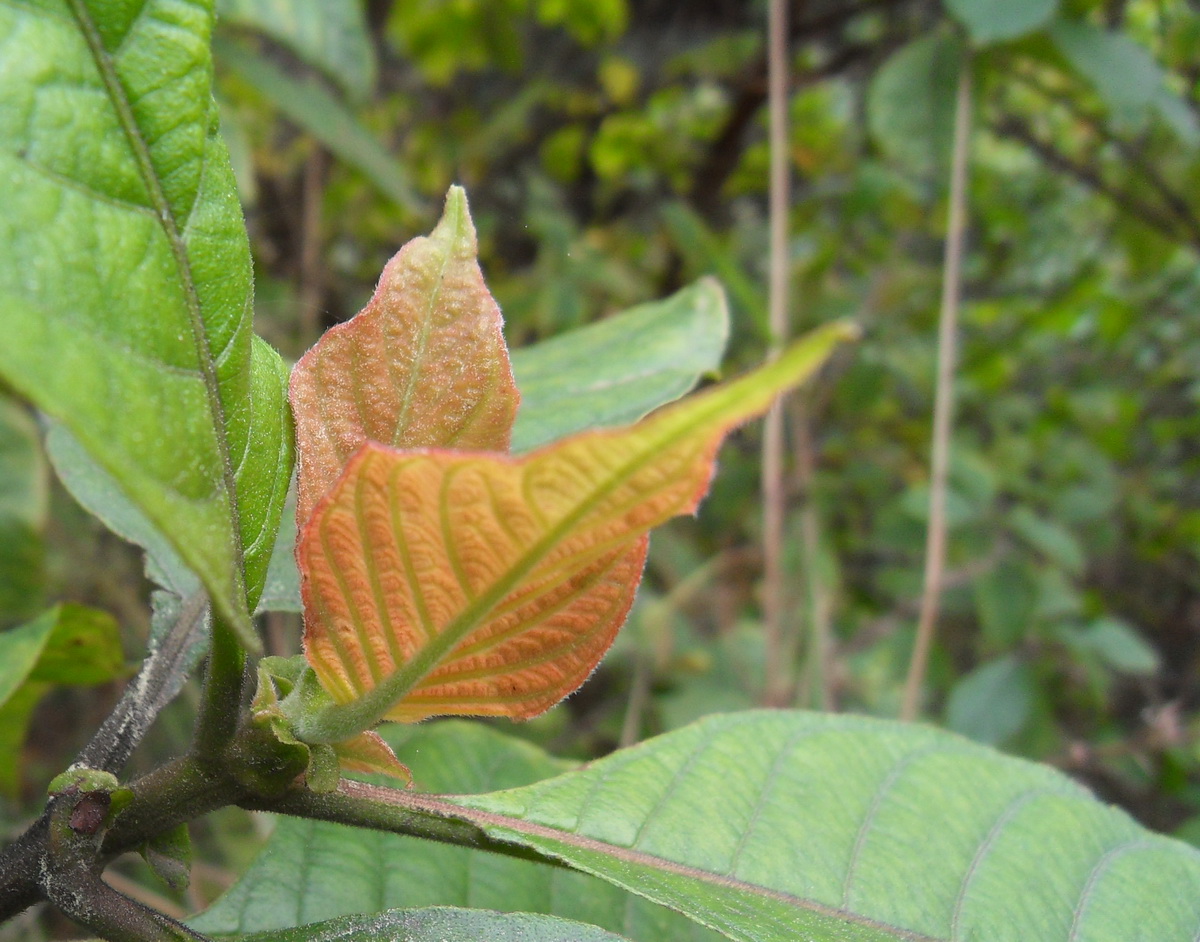 SDC10301.jpg