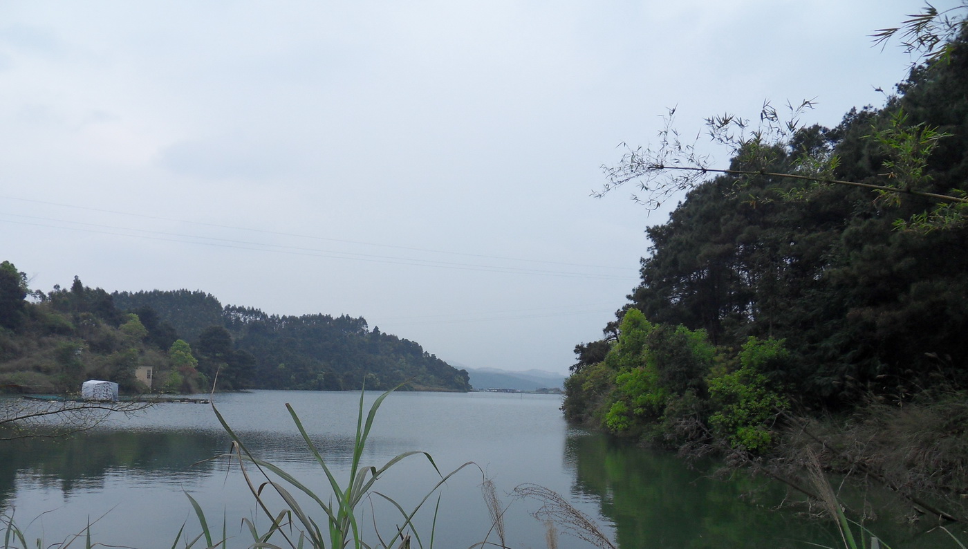 SDC10357.jpg