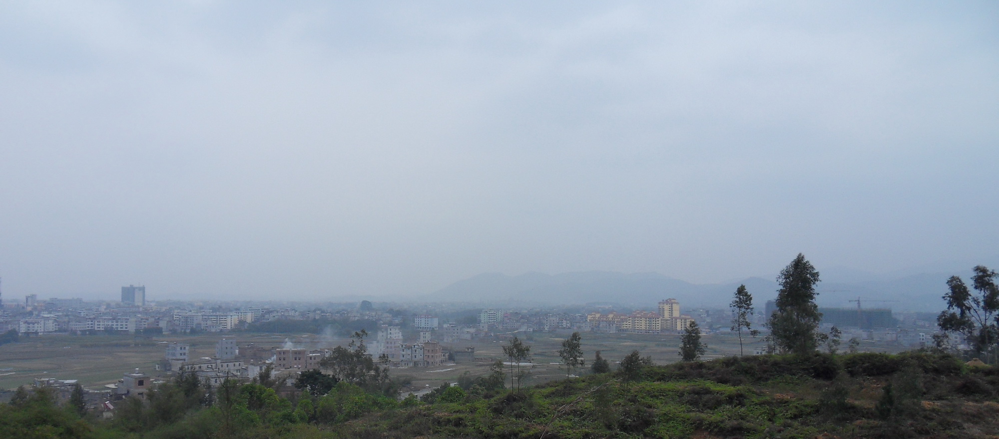 SDC10360.jpg