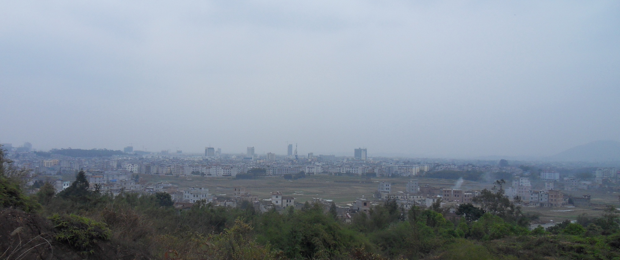SDC10361.jpg
