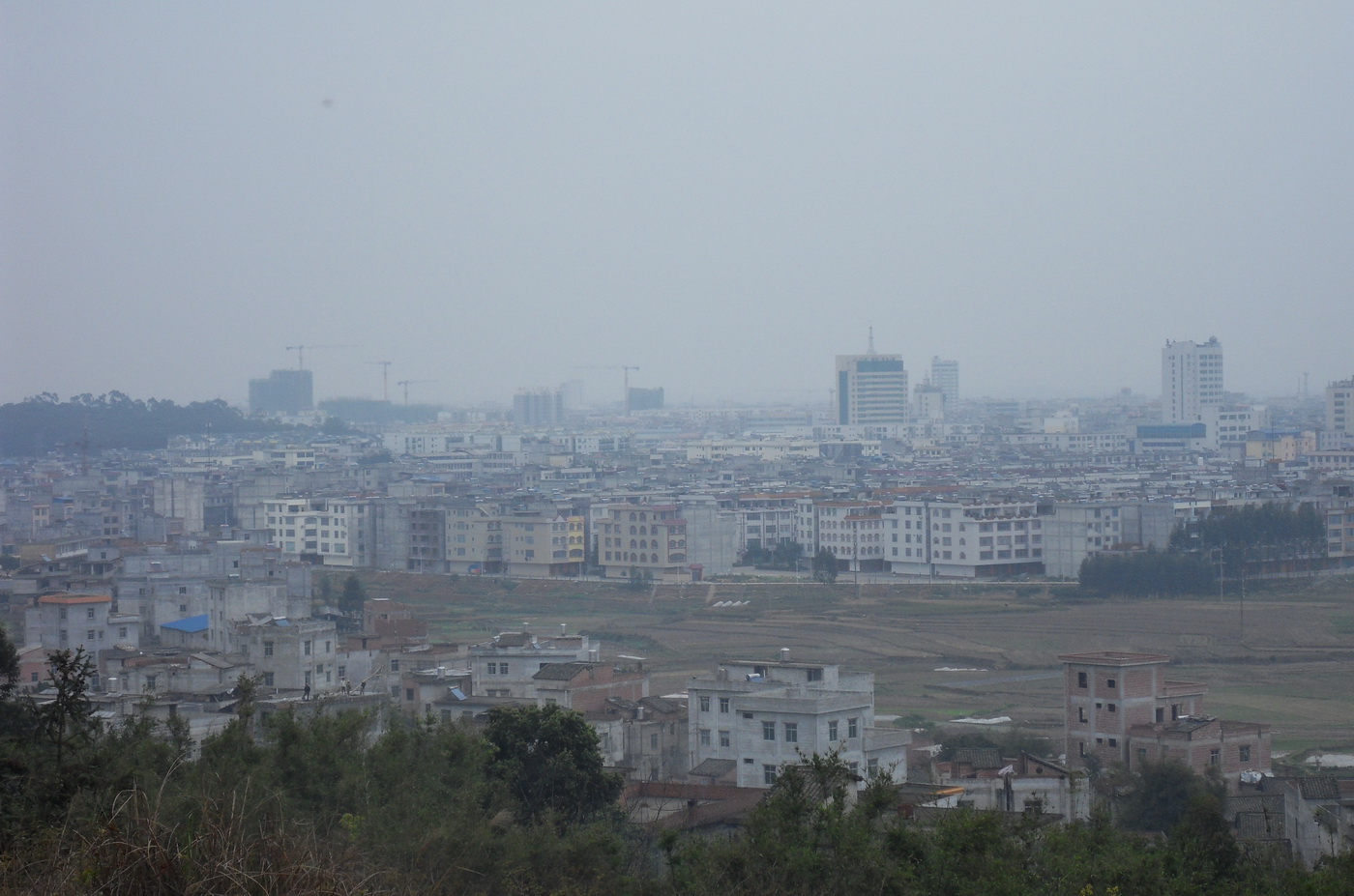 SDC10365.jpg