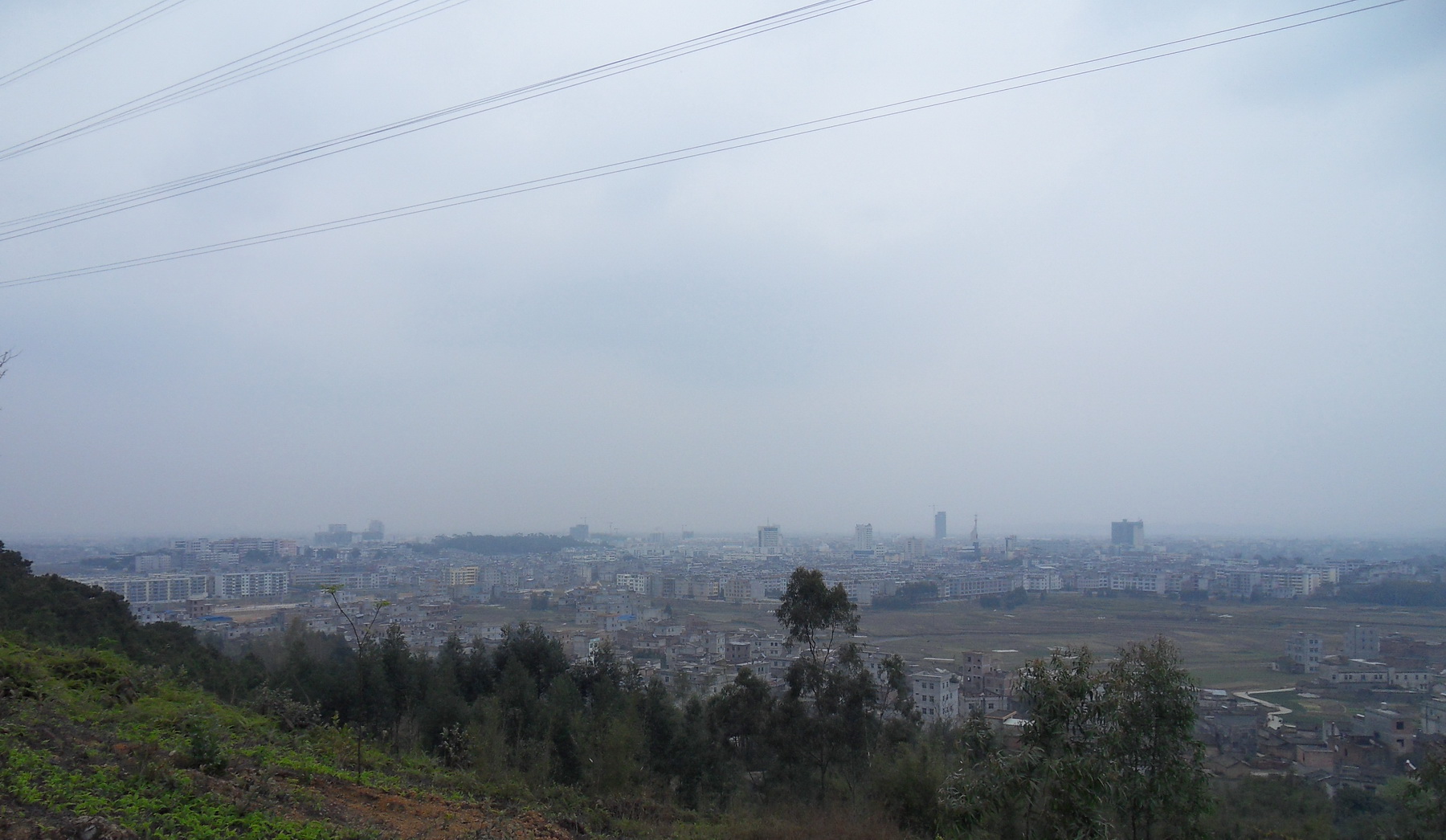 SDC10372.jpg