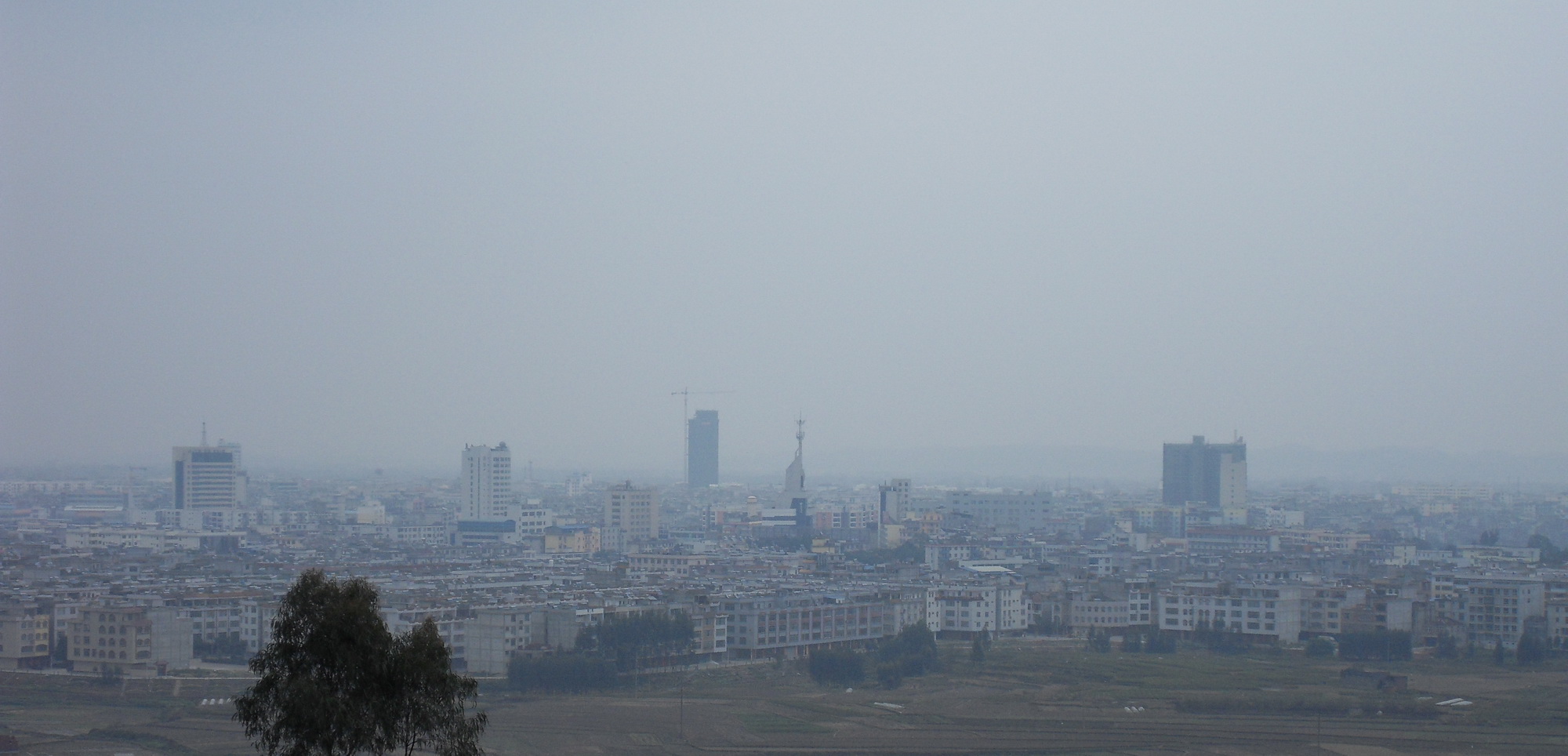 SDC10373.jpg