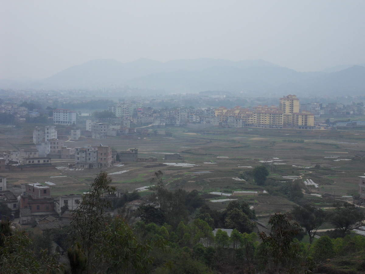 SDC10375.jpg
