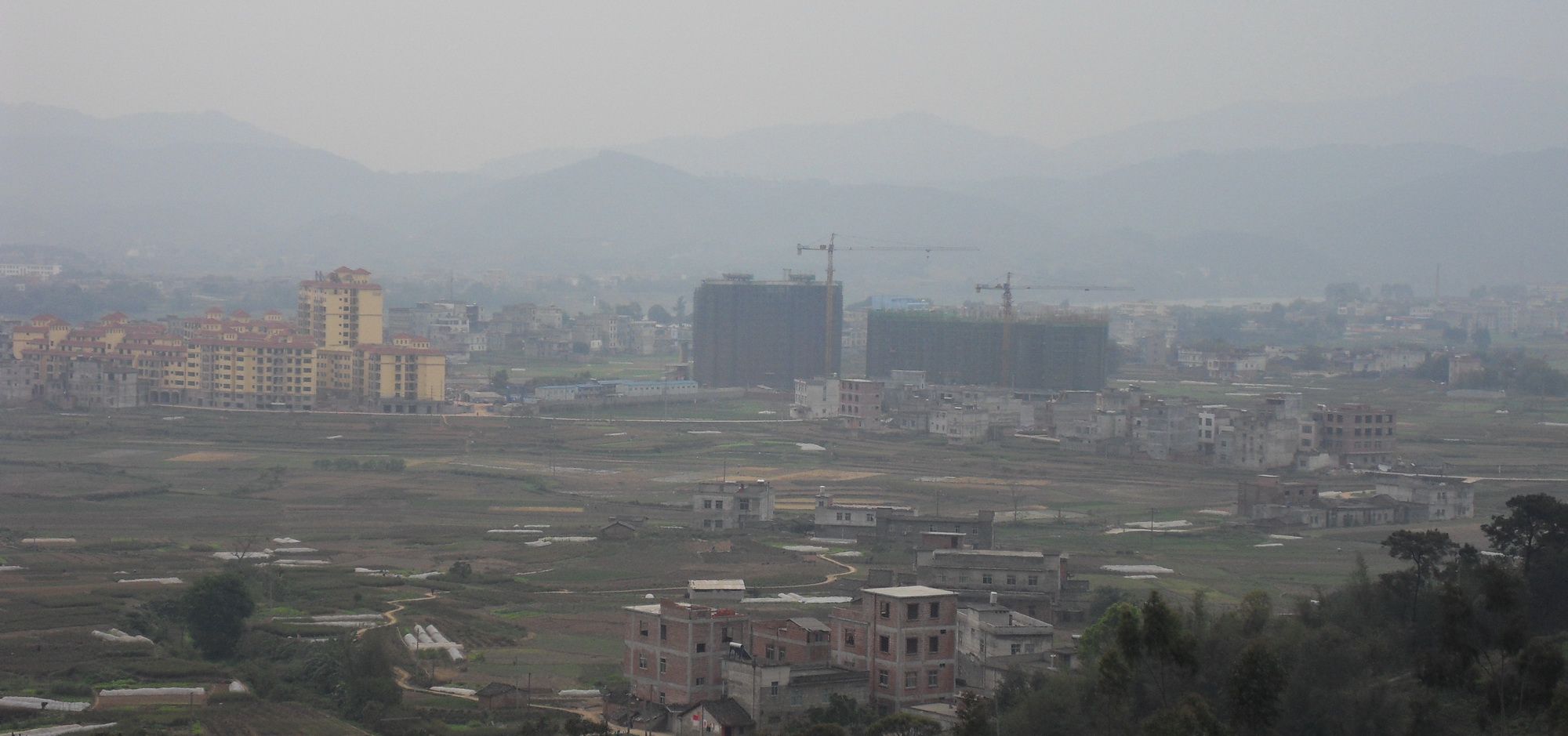 SDC10376.jpg