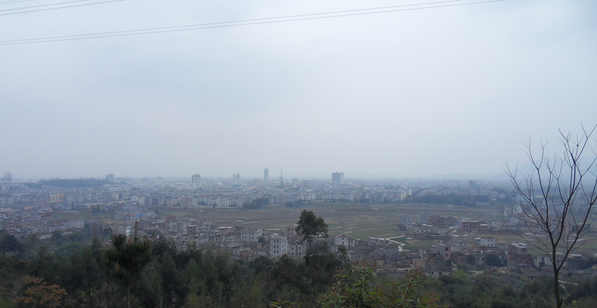 SDC10377.jpg