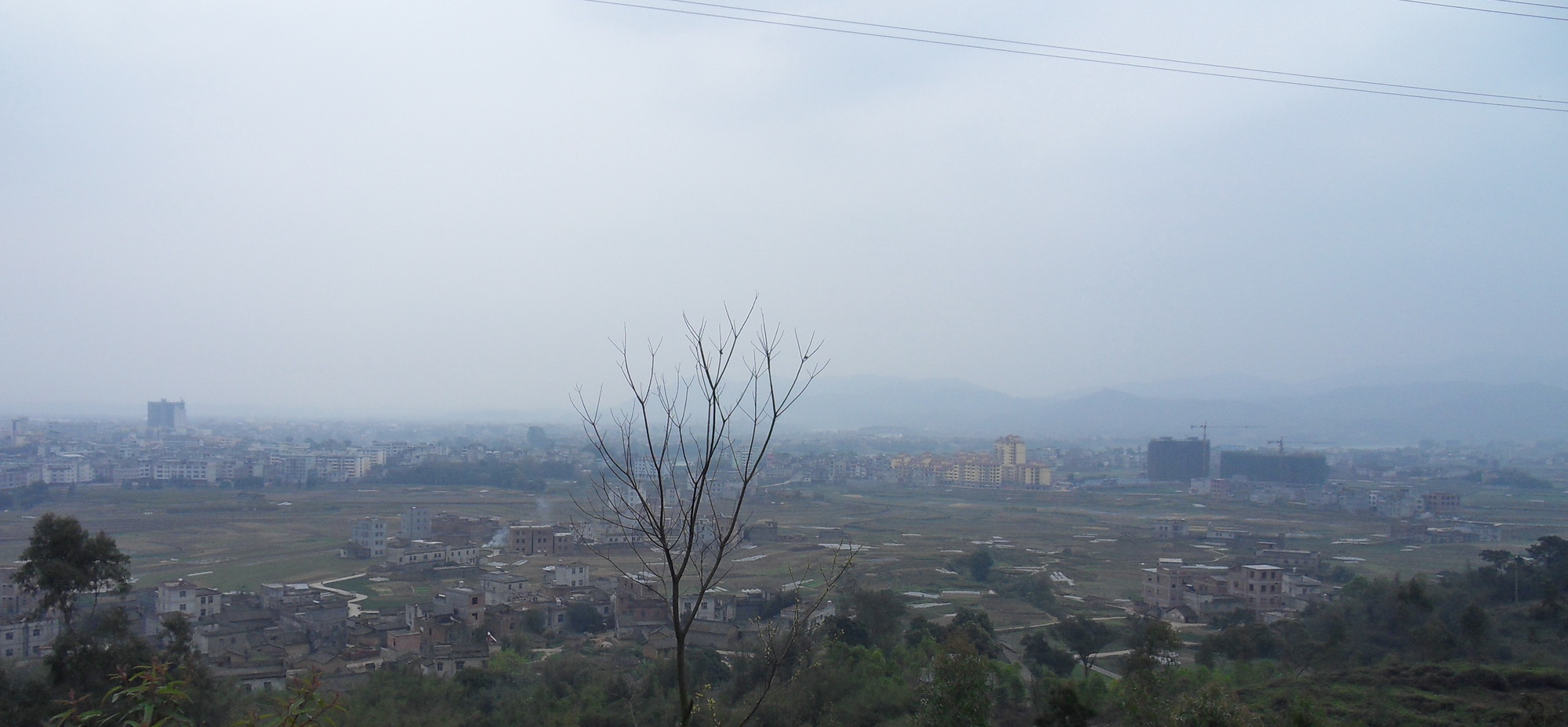 SDC10379.jpg