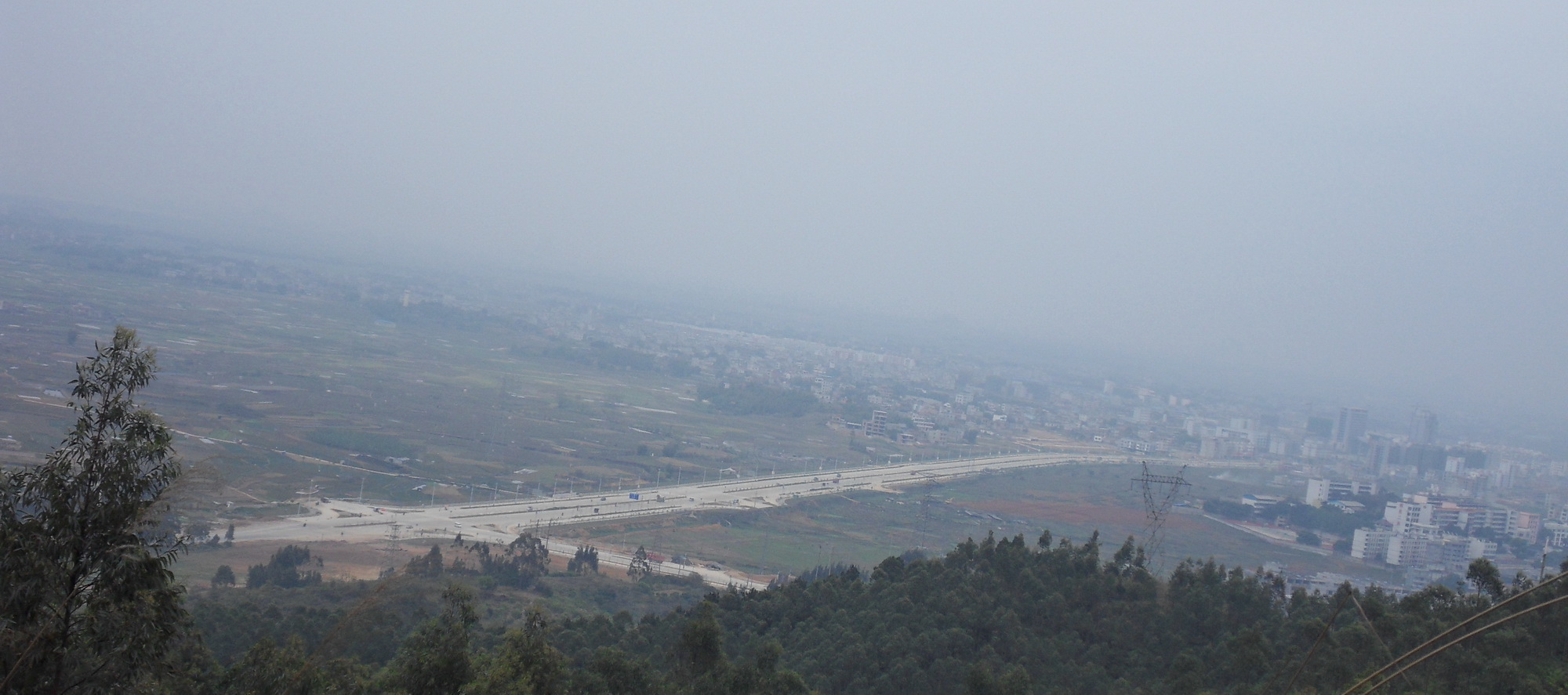 SDC10453.jpg