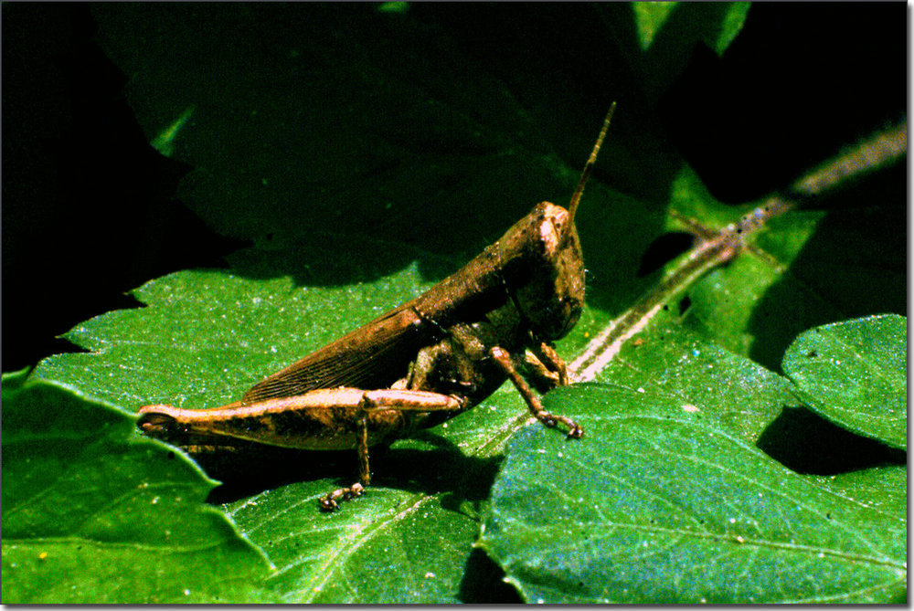 DSC03593.jpg