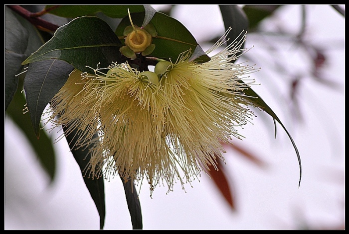 DSC_0104_conew2.jpg