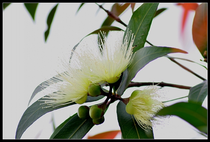 DSC_0112_conew2.jpg