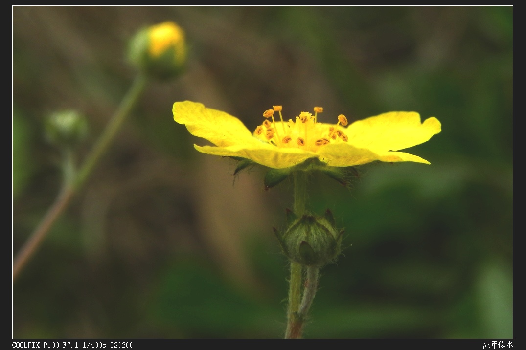 DSCN3498.JPG