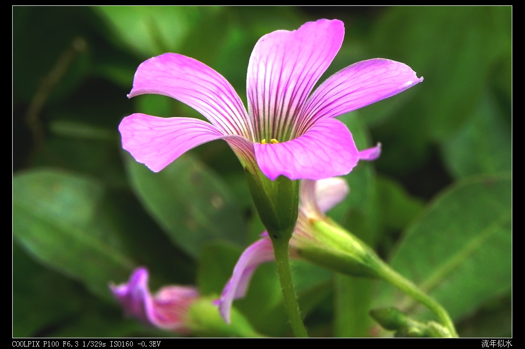 DSCN3525.JPG