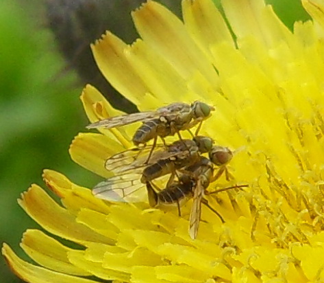 SDC1057111.jpg