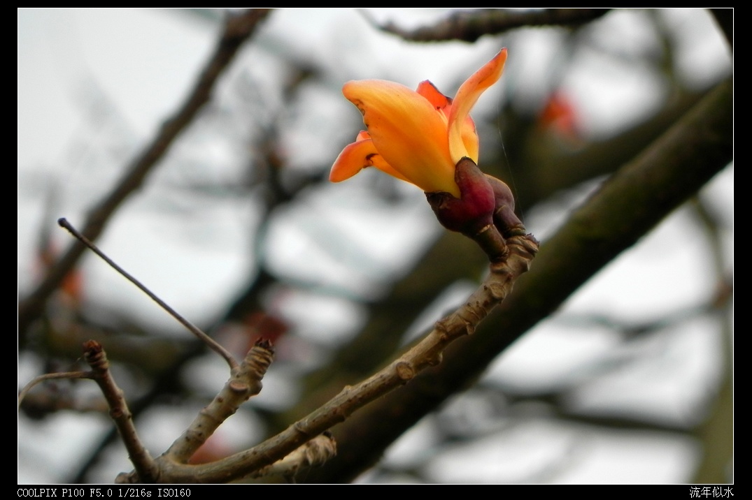 DSCN3792.JPG