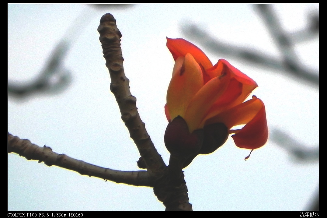 DSCN3794.JPG