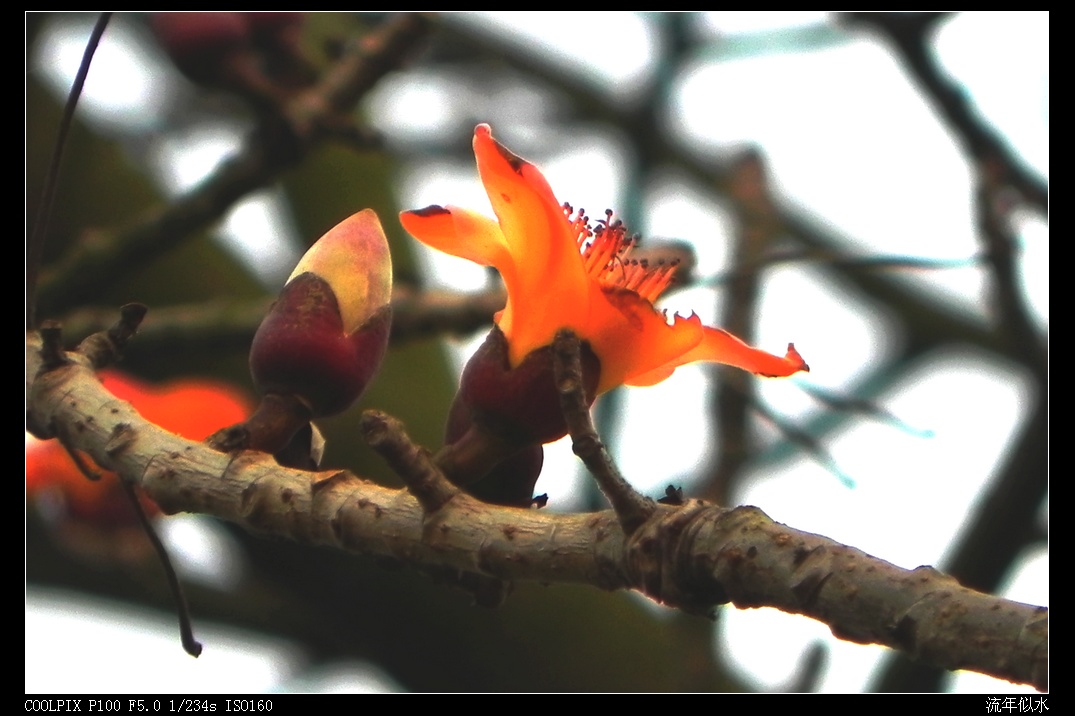 DSCN3796.JPG