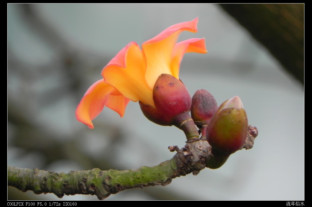 DSCN3810.JPG