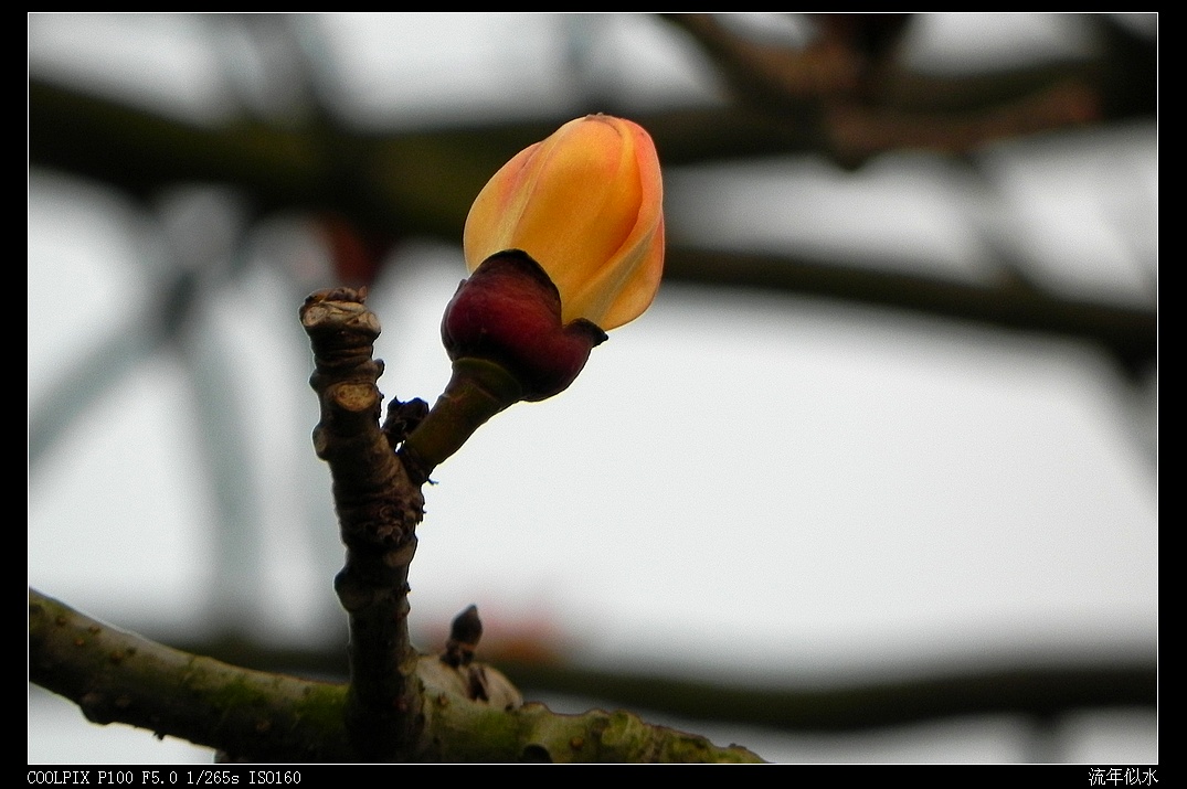 DSCN3814.JPG