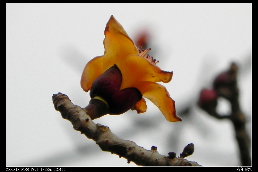 DSCN3817.JPG