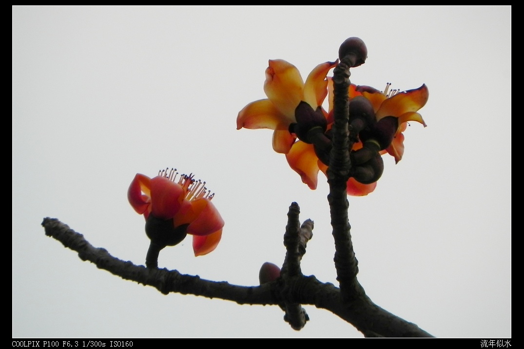 DSCN3837.JPG