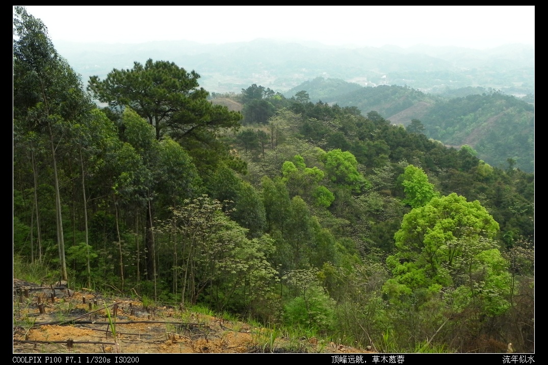 DSCN3589.JPG