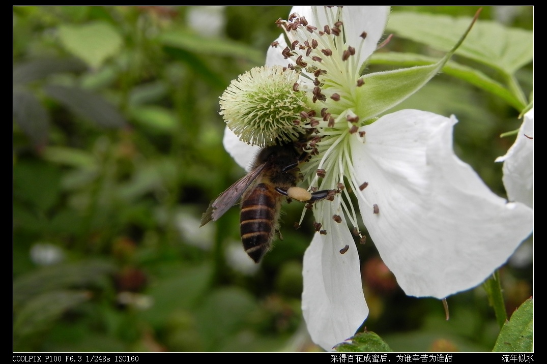 DSCN3624.JPG