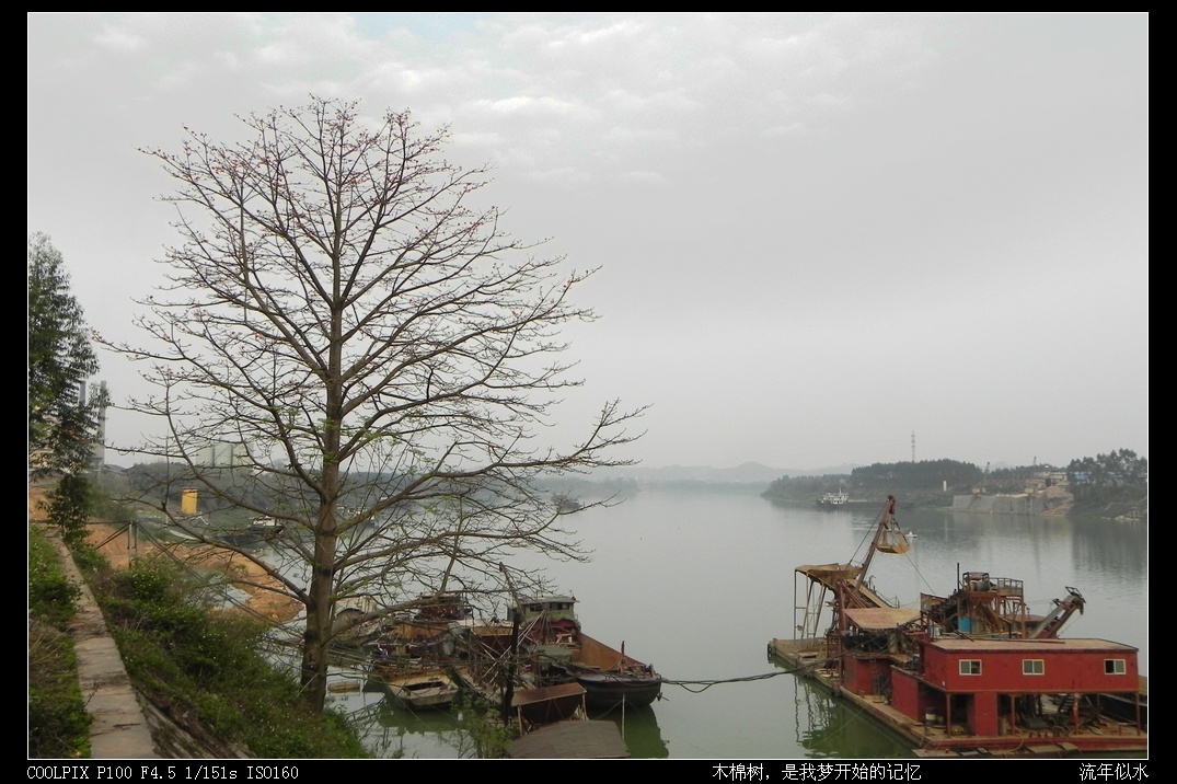 DSCN3856.JPG