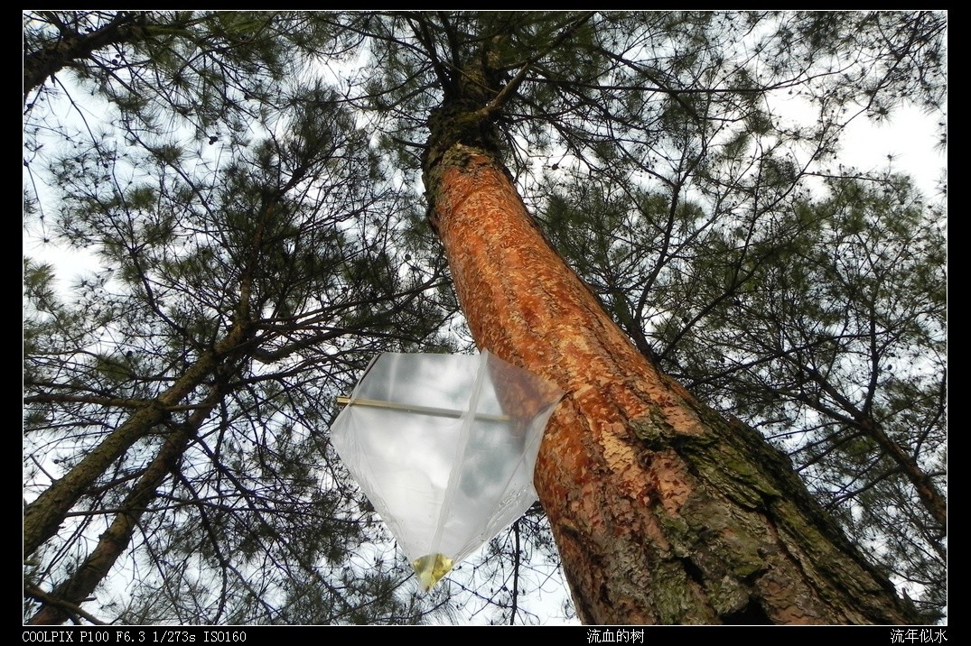DSCN3746.JPG
