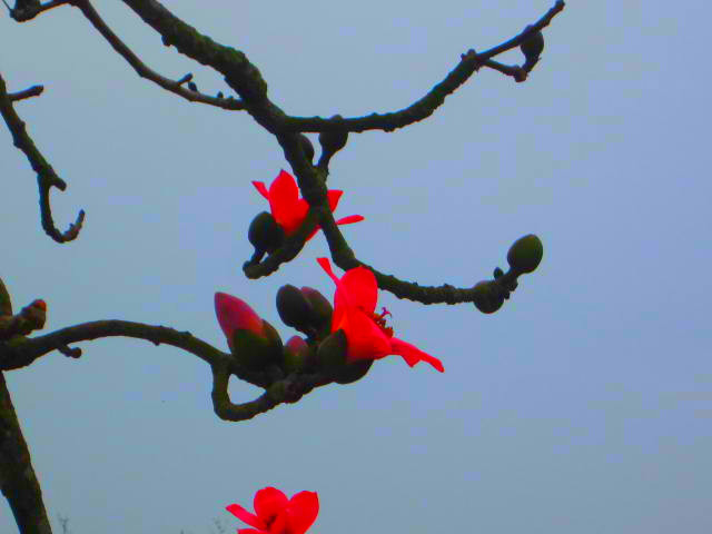img_1089_副本.jpg