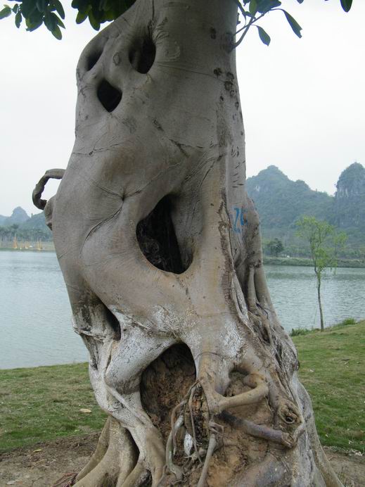 花花大世界照片 240.jpg