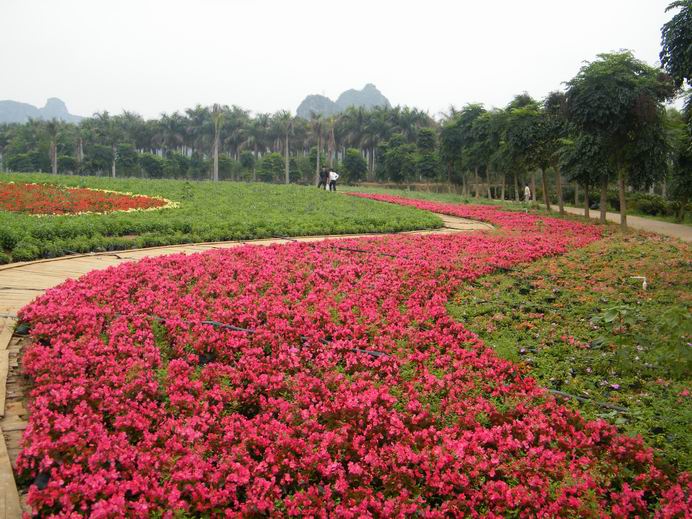 花花大世界照片 320.jpg