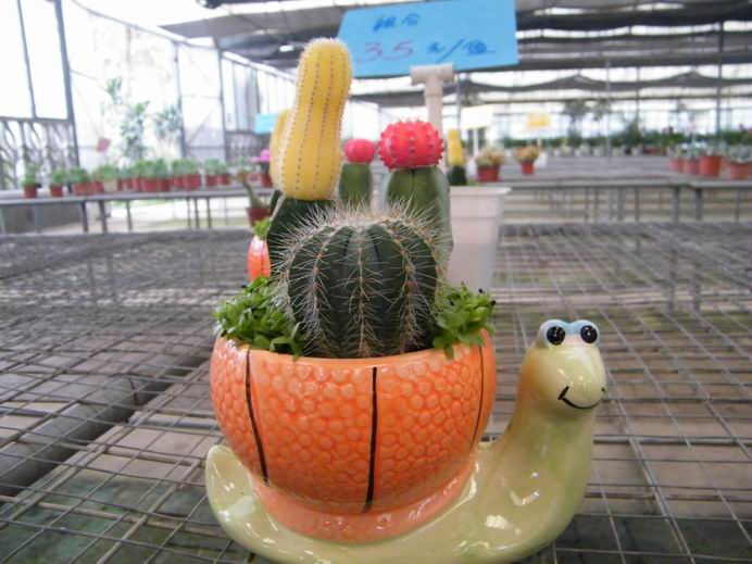 花花大世界照片 010.jpg