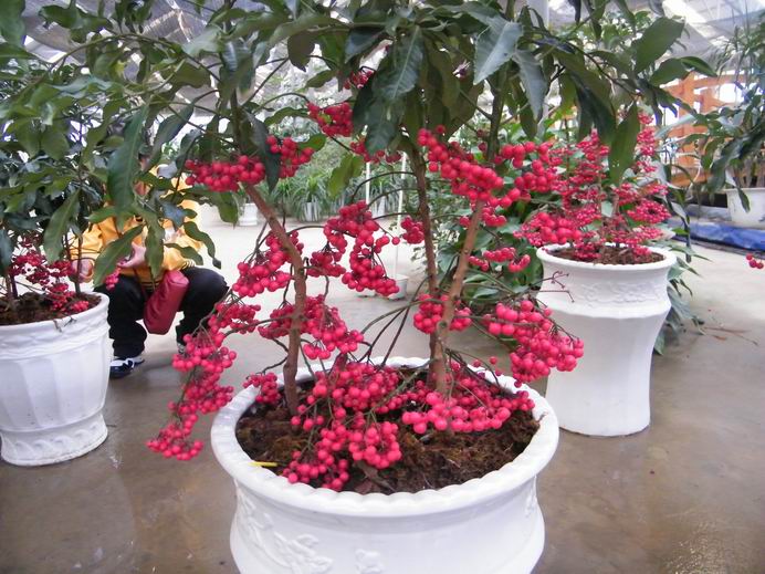 花花大世界照片 012.jpg