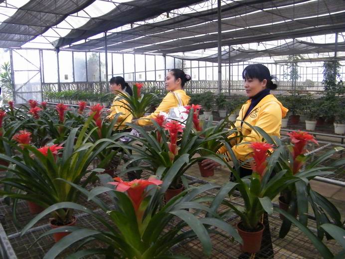 花花大世界照片 049.jpg
