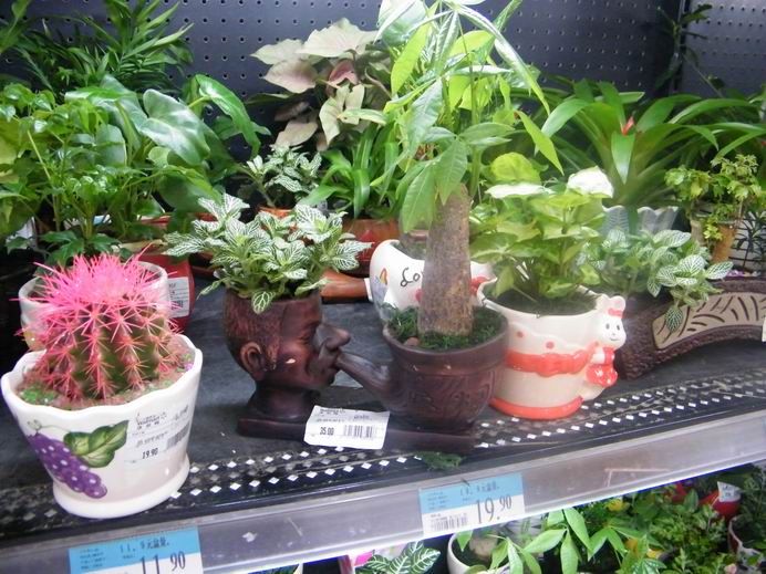 花花大世界照片 393.jpg