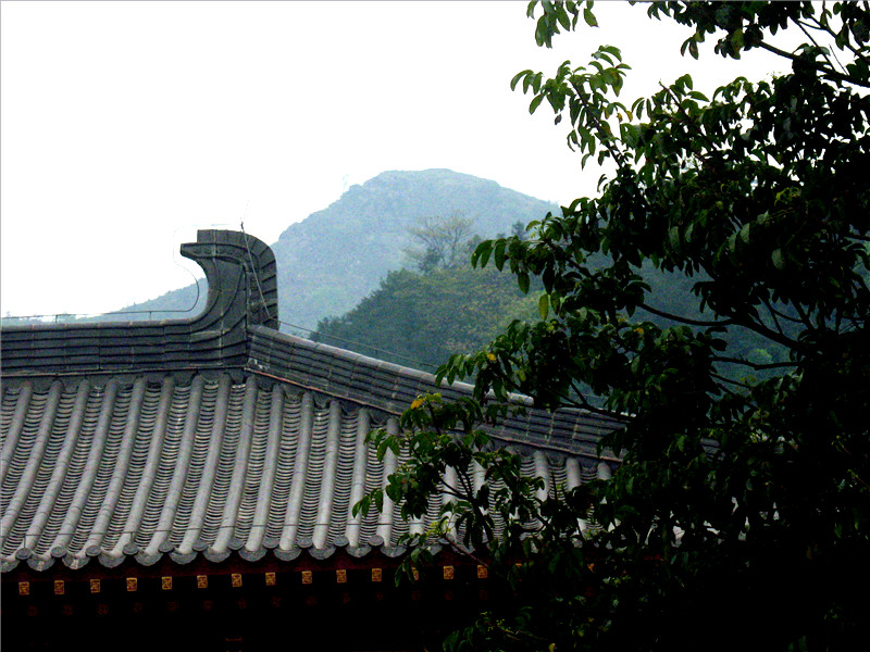 img_5630_副本.jpg