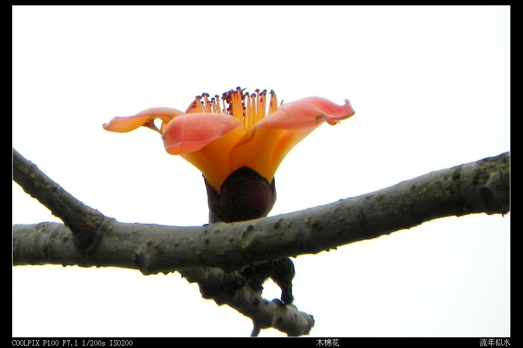 DSCN4271.JPG