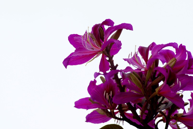 a9277203_s.jpg