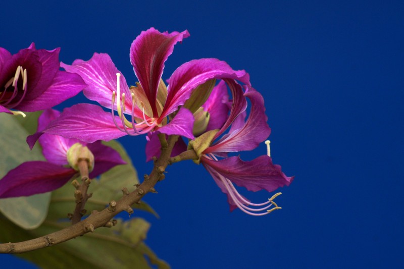 a9277214_s.jpg