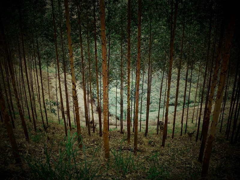 DSCF1206.jpg