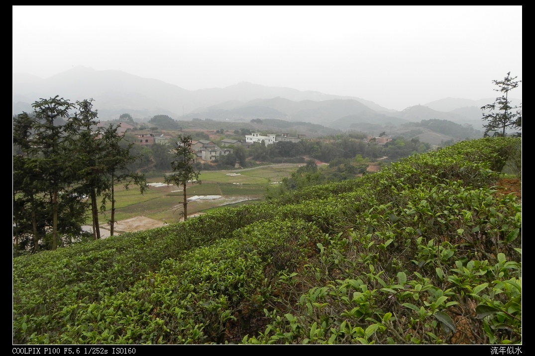 DSCN3987.JPG