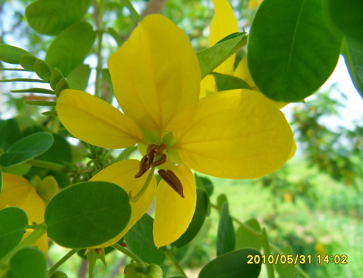 SDC12160.jpg