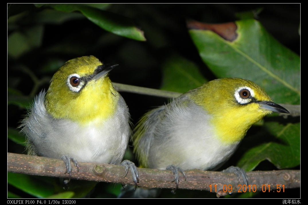 DSCN2973.JPG