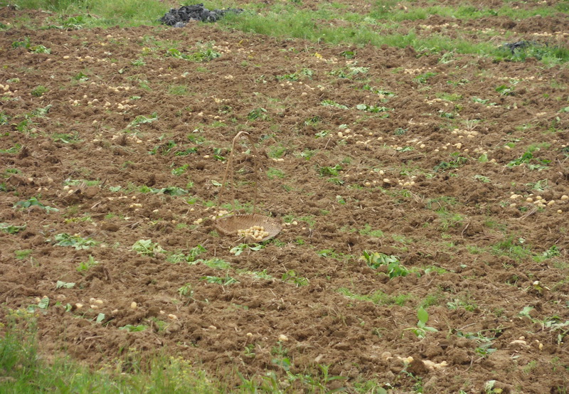 SDC10719.jpg