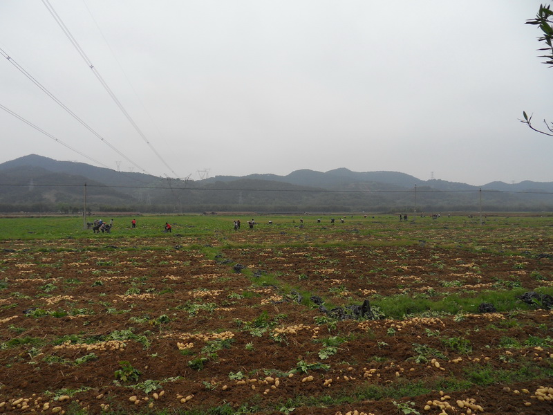SDC10749.jpg